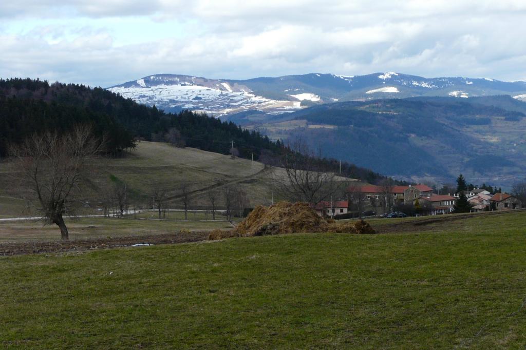 Burdignes, 08-03-09, 16-16.jpg